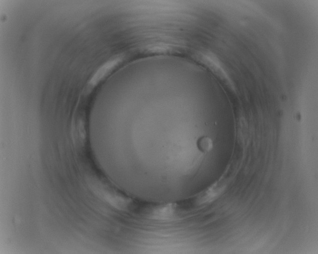 X0000076380116200610202049