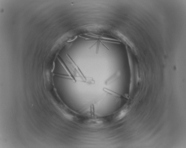 X0000076380117200610202049