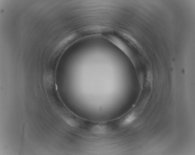 X0000076380119200610202049