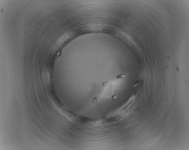 X0000076380120200610202049