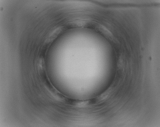 X0000076380122200610202049