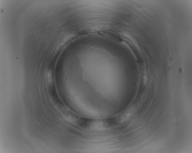 X0000076380123200610202049