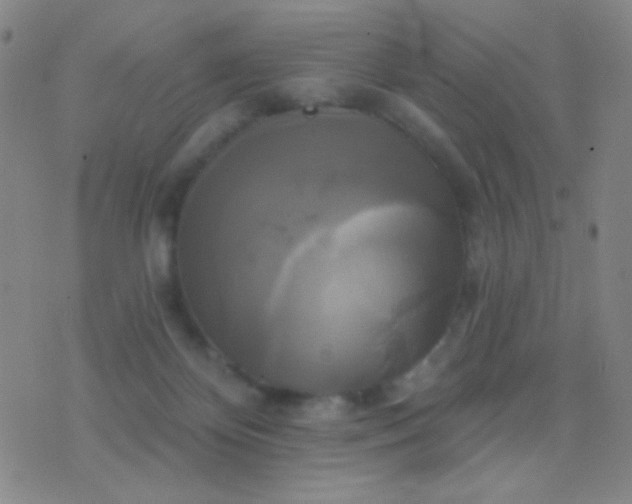 X0000076380124200610202049