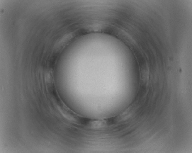 X0000076380126200610202049