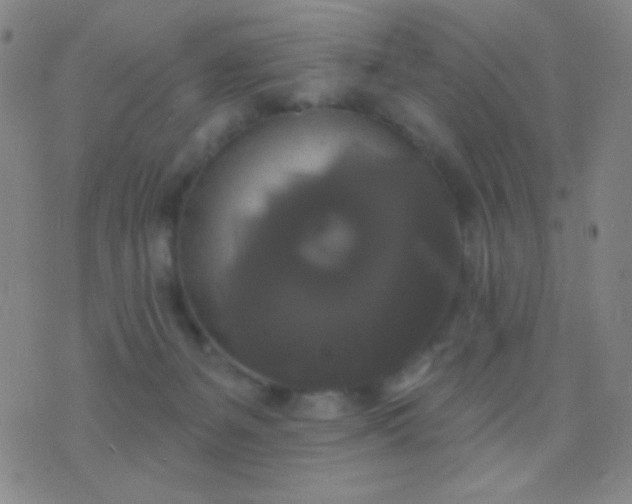 X0000076380127200610202049