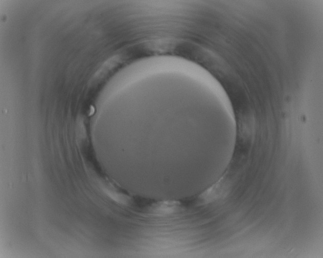 X0000076380128200610202049