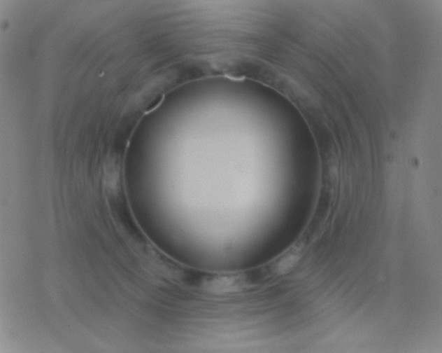 X0000076380129200610202049