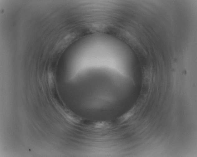 X0000076380130200610202049