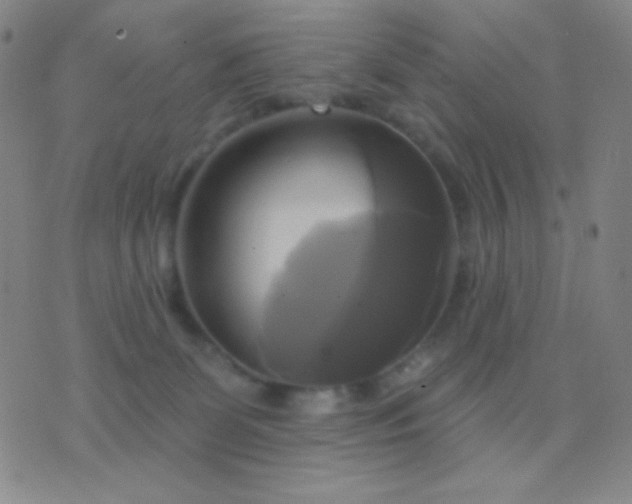 X0000076380131200610202049