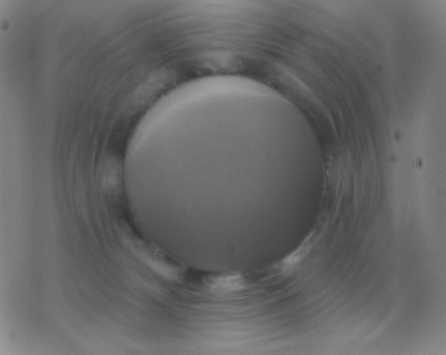 X0000076380132200610202049