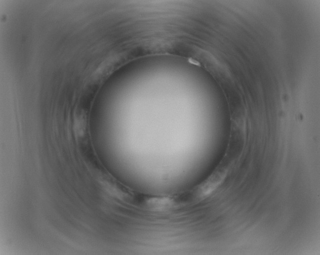 X0000076380133200610202049