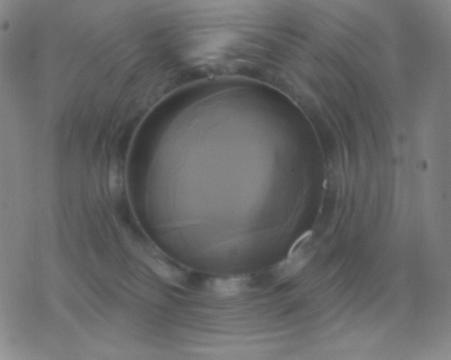 X0000076380134200610202049