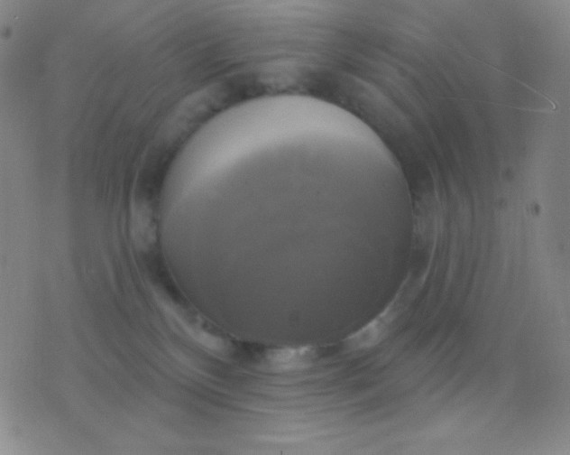 X0000076380136200610202049