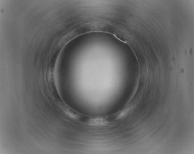 X0000076380137200610202049