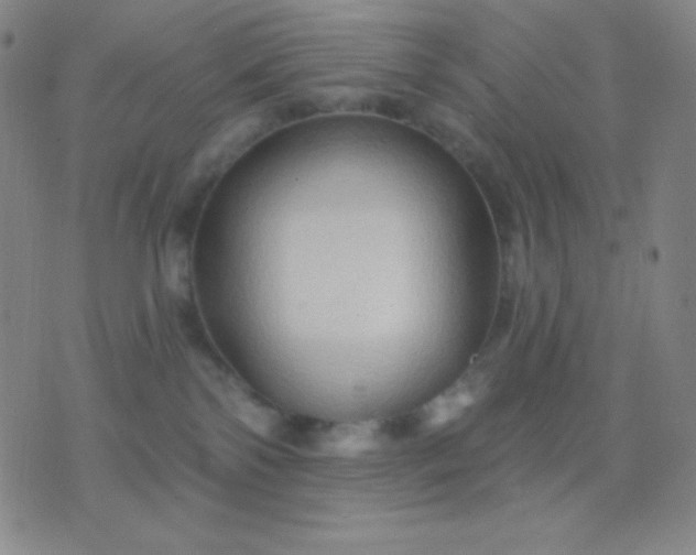 X0000076380138200610202049