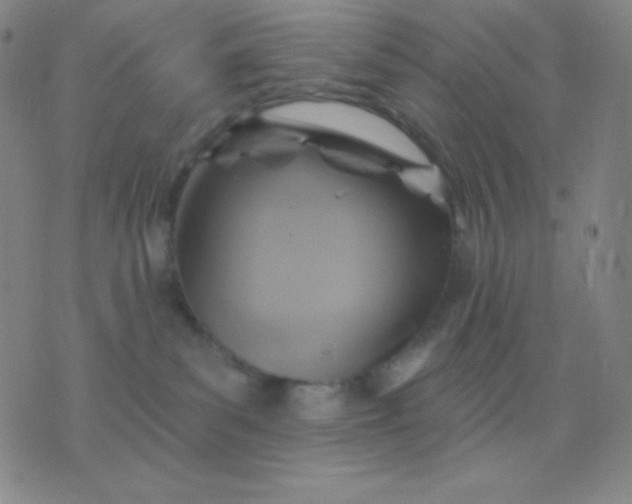 X0000076380139200610202049