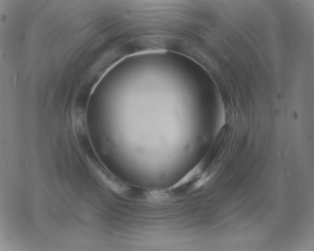 X0000076380141200610202048