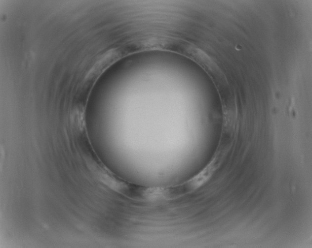 X0000076380142200610202048