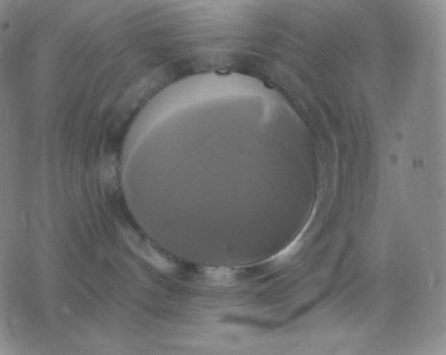 X0000076380144200610202048