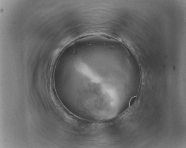 X0000076380145200610202048