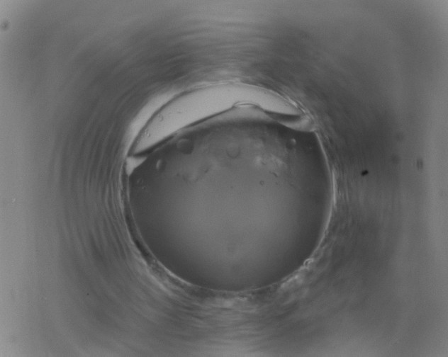 X0000076380147200610202048