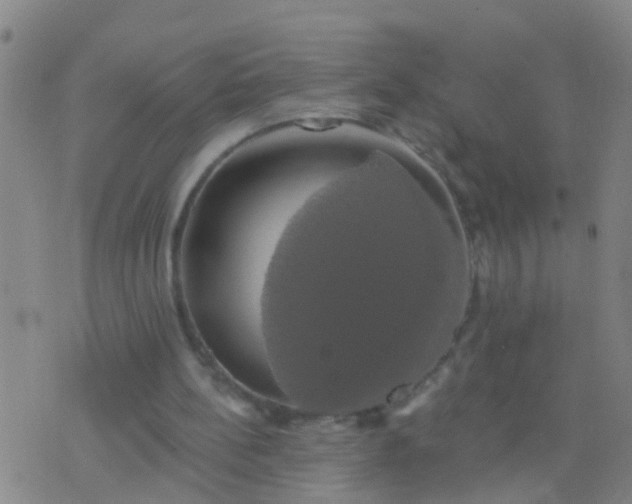 X0000076380148200610202048