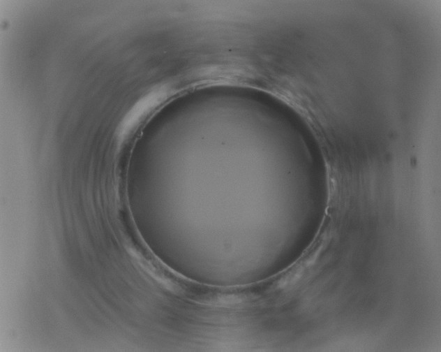 X0000076380149200610202048