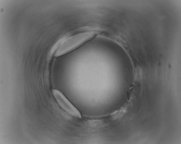 X0000076380150200610202048