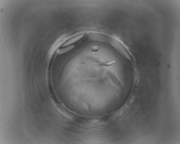 X0000076380151200610202048