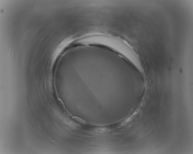 X0000076380152200610202048