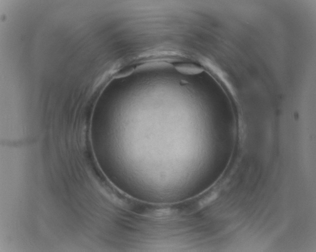 X0000076380153200610202048