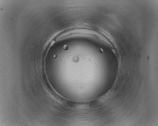 X0000076380155200610202048