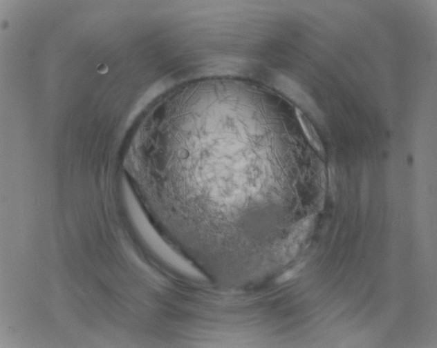 X0000076380156200610202048