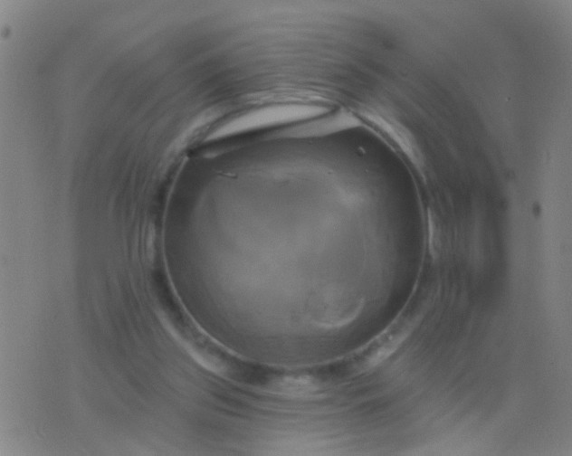 X0000076380157200610202048