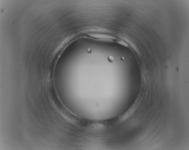 X0000076380159200610202048