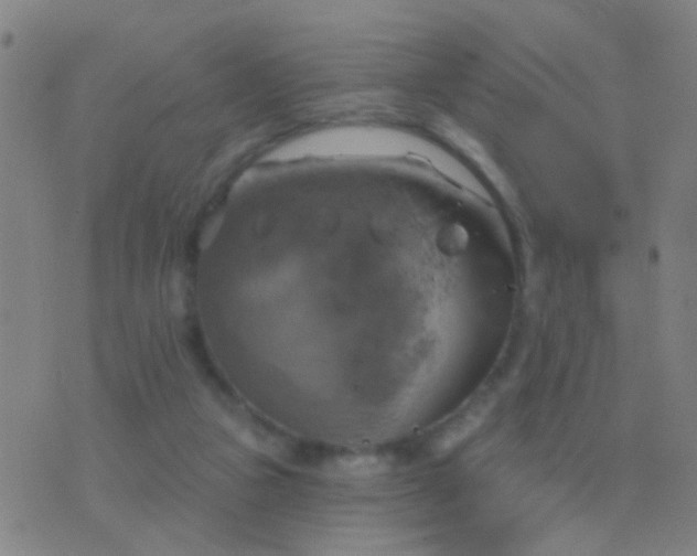 X0000076380161200610202048