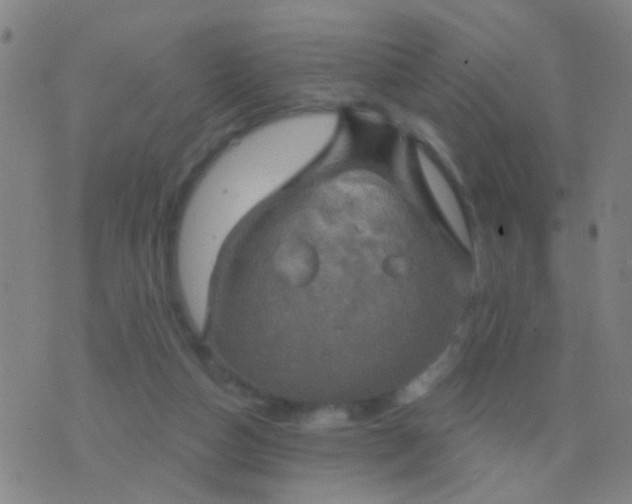 X0000076380162200610202048