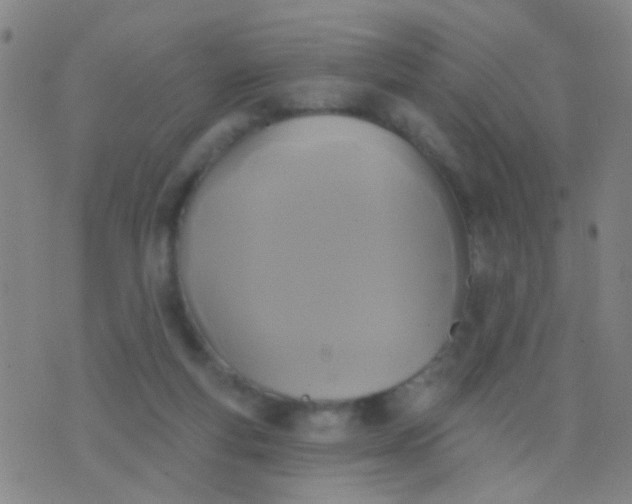 X0000076380163200610202048