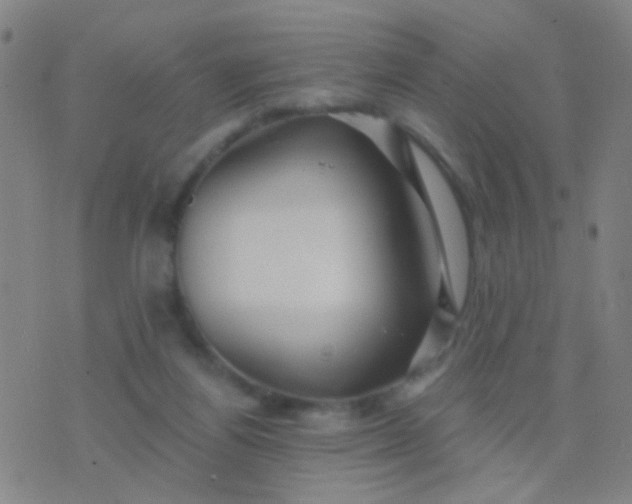 X0000076380164200610202048