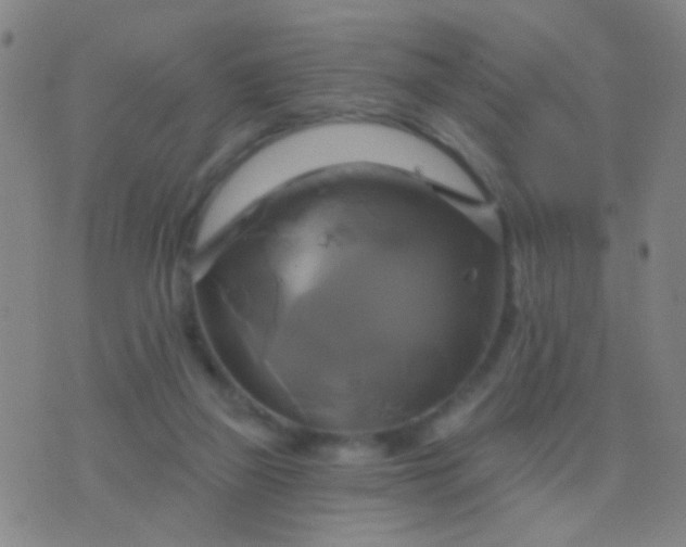 X0000076380165200610202048