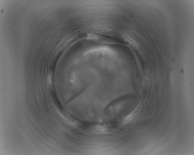 X0000076380166200610202048