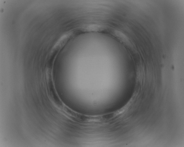 X0000076380167200610202048