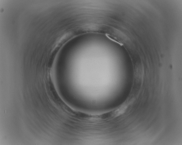 X0000076380168200610202048