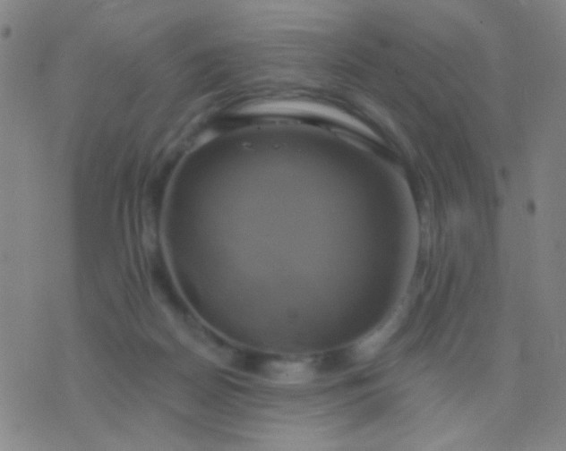 X0000076380170200610202048