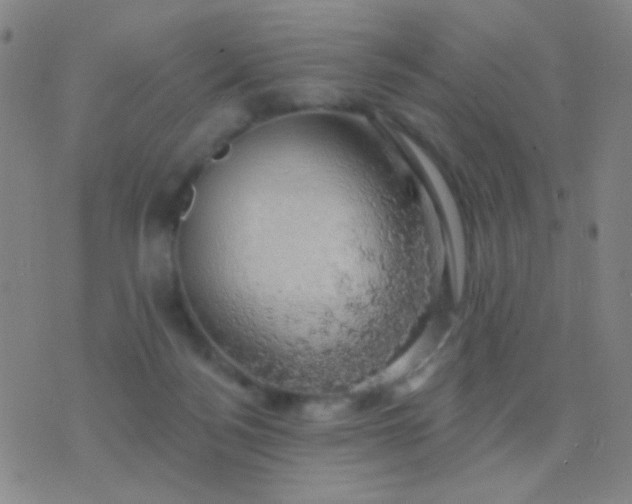 X0000076380172200610202048