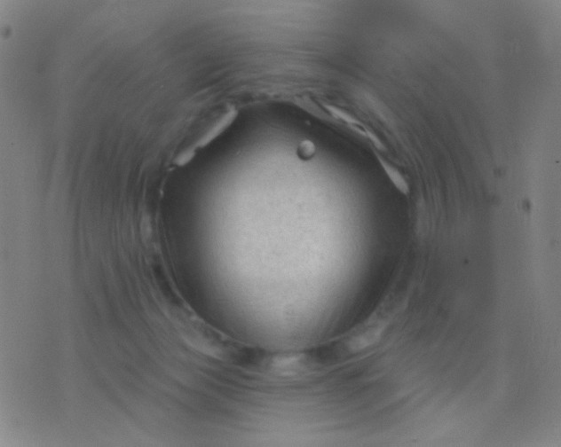 X0000076380173200610202048