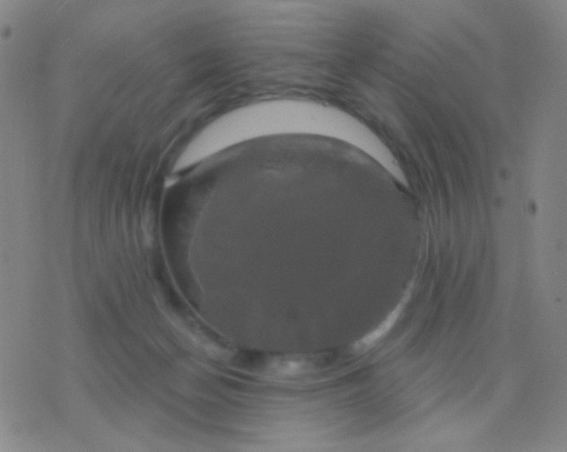 X0000076380174200610202048