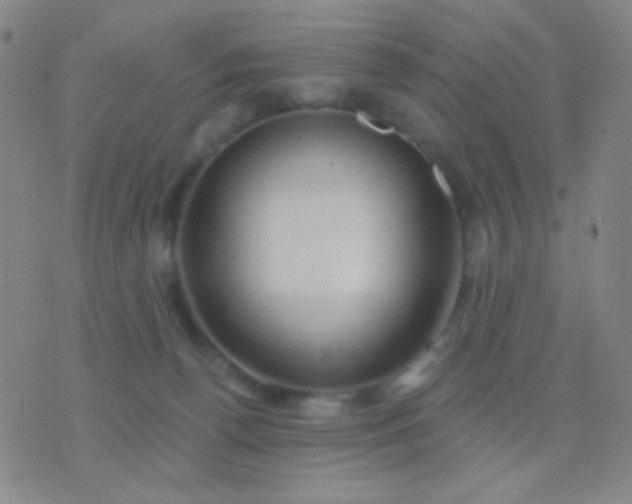 X0000076380176200610202048