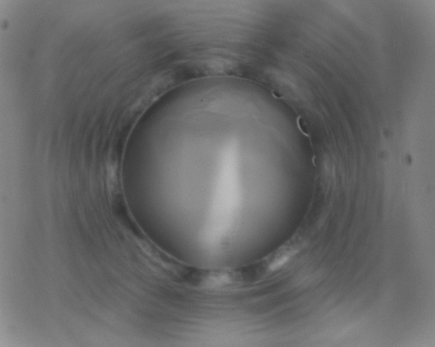 X0000076380177200610202048