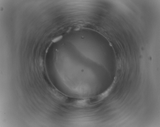 X0000076380178200610202048